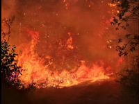 Côte-d’Or – Incendie à Plombières-lès-Dijon : 10 hectares brûlés, près de 120 pompiers engagés et le trafic SNCF coupé