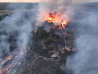 Plombières-lès-Dijon – Le feu est fixé après avoir brûlé 12 hectares, deux pompiers blessés