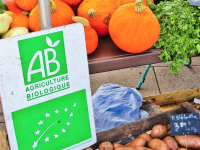 L'agriculture bio publie son bilan 2025 en Bourgogne-Franche-Comté, et c'est pas terrible