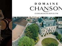 Beaune - Thierry Berger, nouveau Directeur Général du Domaine Chanson