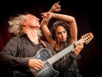 Beaune - Concert jazz & flamenco de Louis Winsberg à la Lanterne Magique le vendredi 3 novembre 
