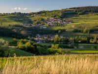 « Du côté des Maranges » - Près de 4 000 visiteurs pour un week-end de Pâques festif dans la continuité de la Saint-Vincent Tournante 2026