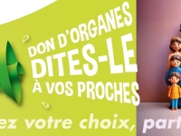 L’ARS Bourgogne-Franche-Comté porte le ruban vert pour encourager le don d’organes ! 