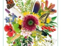 Dijon célèbre la nature au Jardin de l’Arquebuse ce dimanche