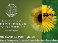 À Dijon, le Jardin de l’Arquebuse invite le public à devenir « Sentinelle du vivant »