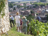 Vignoble de Bourgogne – Patrimoine Mondial - L’agenda de l’été des Climats débute le 5 juin !  