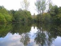 Étangs des Marots - Le tribunal administratif rejette la requête de l’association Becoz environnement