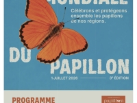 Dijon - Le Jardin de l’Arquebuse célèbre la Journée mondiale du Papillon le 1er juillet