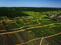 Protection des appellations - La Chine protège les AOC Mâcon et Gevrey-Chambertin