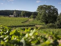 Gevrey-Chambertin distinguée au Prix national de la Préservation du Patrimoine Viticole 2025