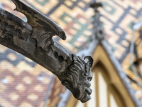 Hôtel-Dieu de Beaune - Découvrez les « Histoires de Dates » et le bestiaire fantastique pour le 850e anniversaire du roman de Renart le samedi 20 janvier