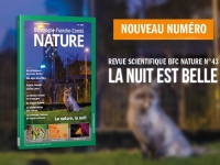 « La nuit est belle » : la biodiversité nocturne au cœur du 43e numéro de Bourgogne-Franche-Comté NATURE
