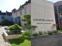 La Maison Louis Picamelot rejoint la maison Louis Jadot