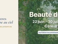 « Beauté divine ! » : un été de créations et de patrimoine en Côte-d’Or