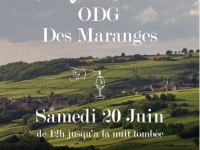Le 20 juin, les Maranges accueillent le Trafic Bar !