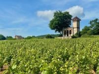 Visite avec l’Office de Tourisme de Beaune et Pays Beaunois – Les Maisons du Dimanche à Meursault, des trésors discrets du patrimoine viticole