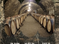 Les Dessous de Meursault – Une visite culottée au cœur de l’histoire et des caves