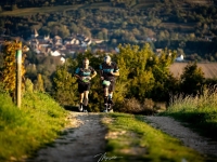 Chassagne-Montrachet - Le Trail du Montrachet revient avec deux nouveaux parcours le 10 octobre