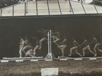 Musée des Beaux-Arts de Beaune - Les animations de ce mois de juillet