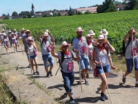 Le Chemin Gourmand de Nuits-Saint-Georges revient le 14 juin