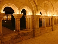 Nocturne à l’Abbaye de Fontenay : chants grégoriens et lumière des bougies pour une soirée hors du temps