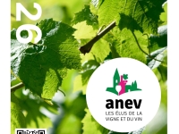 Prix du patrimoine viticole 2026 - L’ANEV lance l’édition 2026 de son prix national, les candidatures sont ouvertes