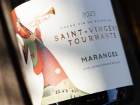 Les Maranges en dates et en chiffres : en route vers la Saint-Vincent Tournante 2026