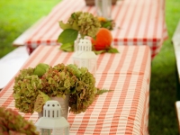 Seurre – Fantastic Picnic : une journée pour revivre la Bourgogne d’autrefois à l’Étang Rouge le 13 septembre