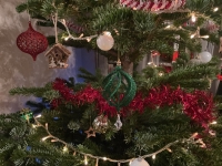 Recyclage post-Noël - Donnez une nouvelle vie à votre sapin en le récupérant pour le compost