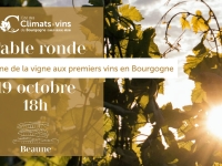 Cité des Climats et vins de Bourgogne Beaune - Table ronde : De l’origine de la vigne aux premiers vins en Bourgogne le jeudi 19 octobre à 18 h