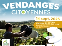 Les Vendanges citoyennes de Dijon Métropole - Une journée conviviale pour célébrer la renaissance des vins du Dijonnais, le dimanche 14 septembre 