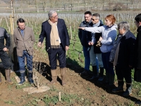 De nouvelles expérimentations sur les vignes départementales à Pommard
