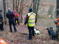 Cormont-le-Grand - Un chien secouru par les pompiers après être resté coincé dans une faille