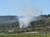 Les pompiers de nouveau mobilisés à Nuits-Saint-Georges pour un feu de forêt