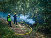 Feux de forêts en Côte-d’Or - Appel aux employeurs pour faciliter l’engagement des sapeurs-pompiers 