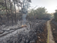 Feu de forêt dans le Val-Suzon - 1,5 hectare parcouru par les flammes