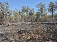 Incendie de Couchey - La gendarmerie lance un appel à témoins