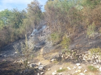 Talant - Un demi-hectare brûlé dans un feu de friches