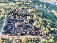 Nuits-Saint-Georges - Le feu de forêt contenu, 2 hectares parcourus par les flammes