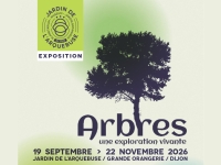 Dijon - Le Jardin de l’Arquebuse invite à une immersion au cœur des arbres