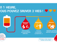Beaune - Canicule : les collectes de sang déplacées au Novotel