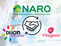 Dijon Métropole, l’INRAE, le NARO et Vitagora signent un accord de coopération élargi