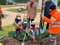 Chevigny plante son 3 000e arbre en 6 ans