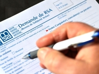 Maintien du RSA et salaires issus des vendanges : le Département se mobilise pour dynamiser  le recrutement pour les vendanges 