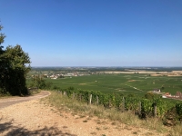 Travaux de sécurisation d'une traversée de chemin de randonnée sur la RD 981 sur la commune de Musigny