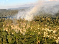 Le Jura, aussi, frappé par les feux de forêts 