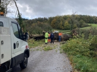 TEMPETE BENJAMIN - Au plus fort, 15 000 foyers de Bourgogne-Franche Comté ont été privés d'électricité 