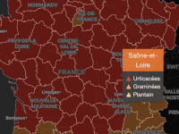 Vers une nette accalmie des risques allergiques 
