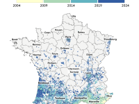 Début janvier, seuls 15 départements français étaient encore épargnés par le moustique tigre 