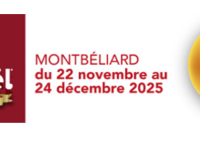 39e édition des Lumières de Noël : des tarifs TRAIN Mobigo avantageux pour un accès facile et écologique